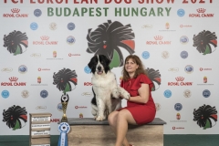 EDS Budapest 2021 Afra