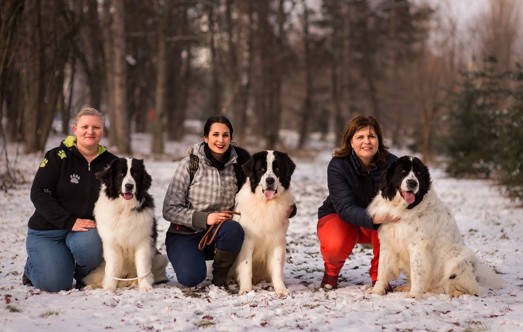 Odile & Dario & Dafra