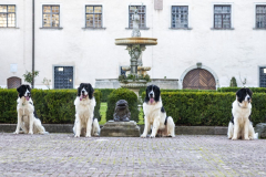 Enya & Elrond & Eragon & Ezzy